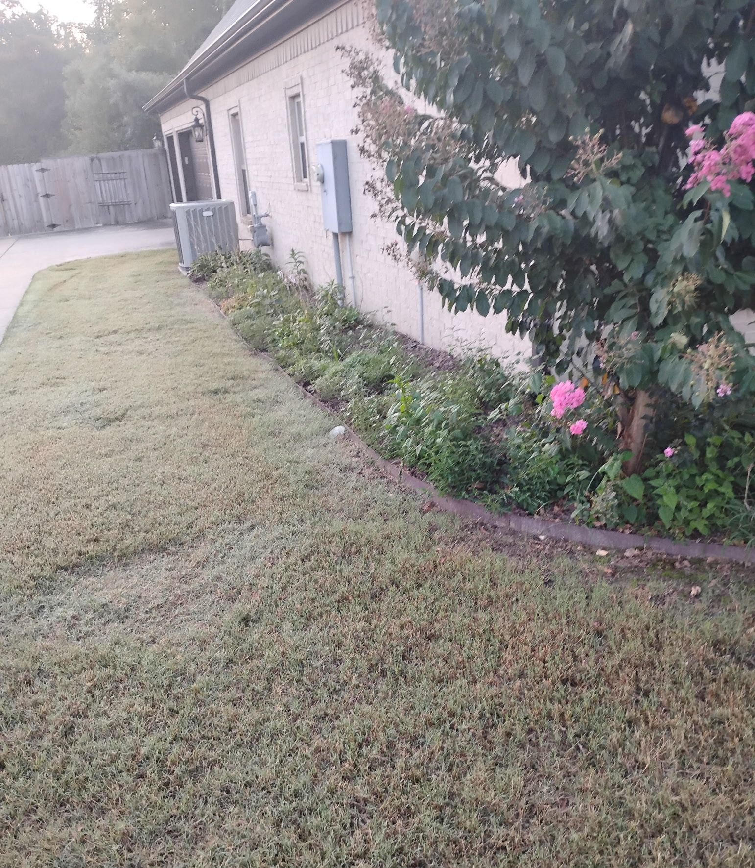 Landscaping of a backyard garden
