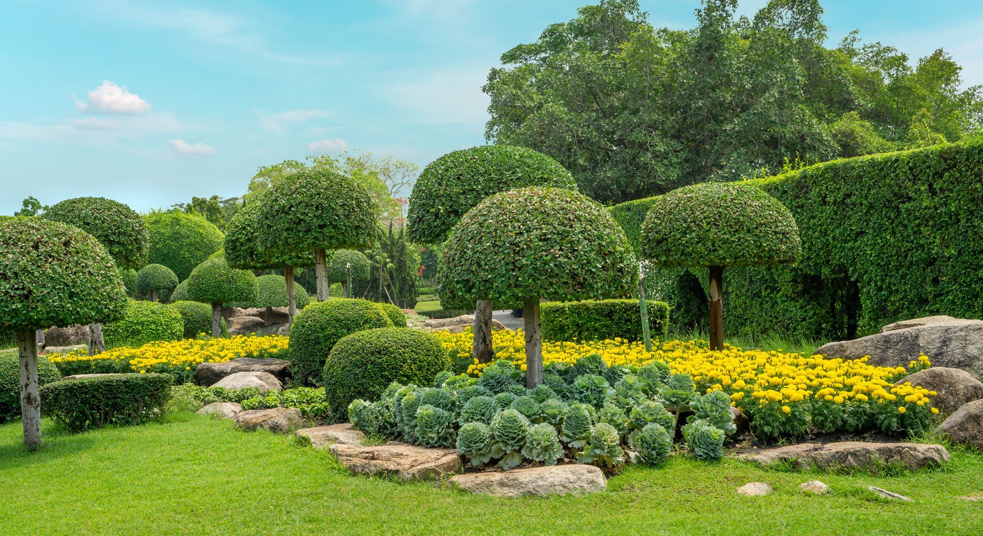 Manicured garden with topiaries, green lawn, yellow flowers, and blue sky