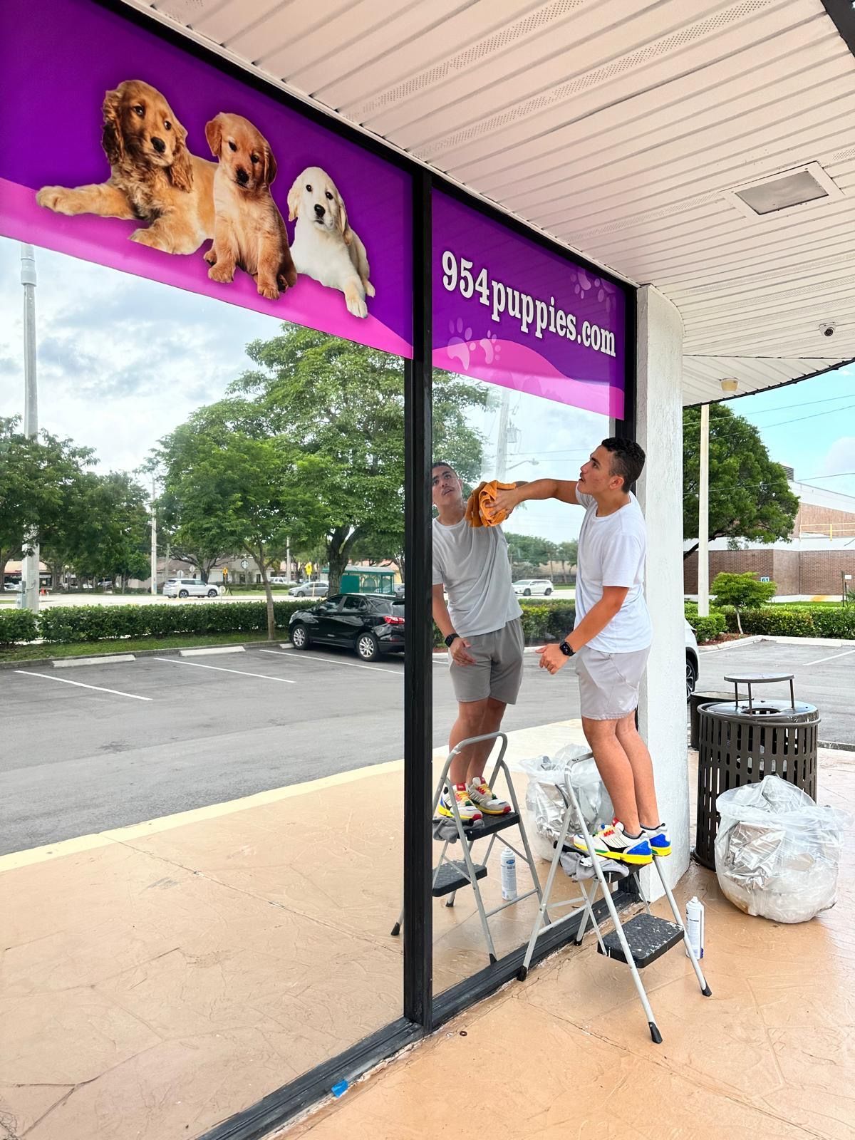 A man is standing on a ladder cleaning a store window.