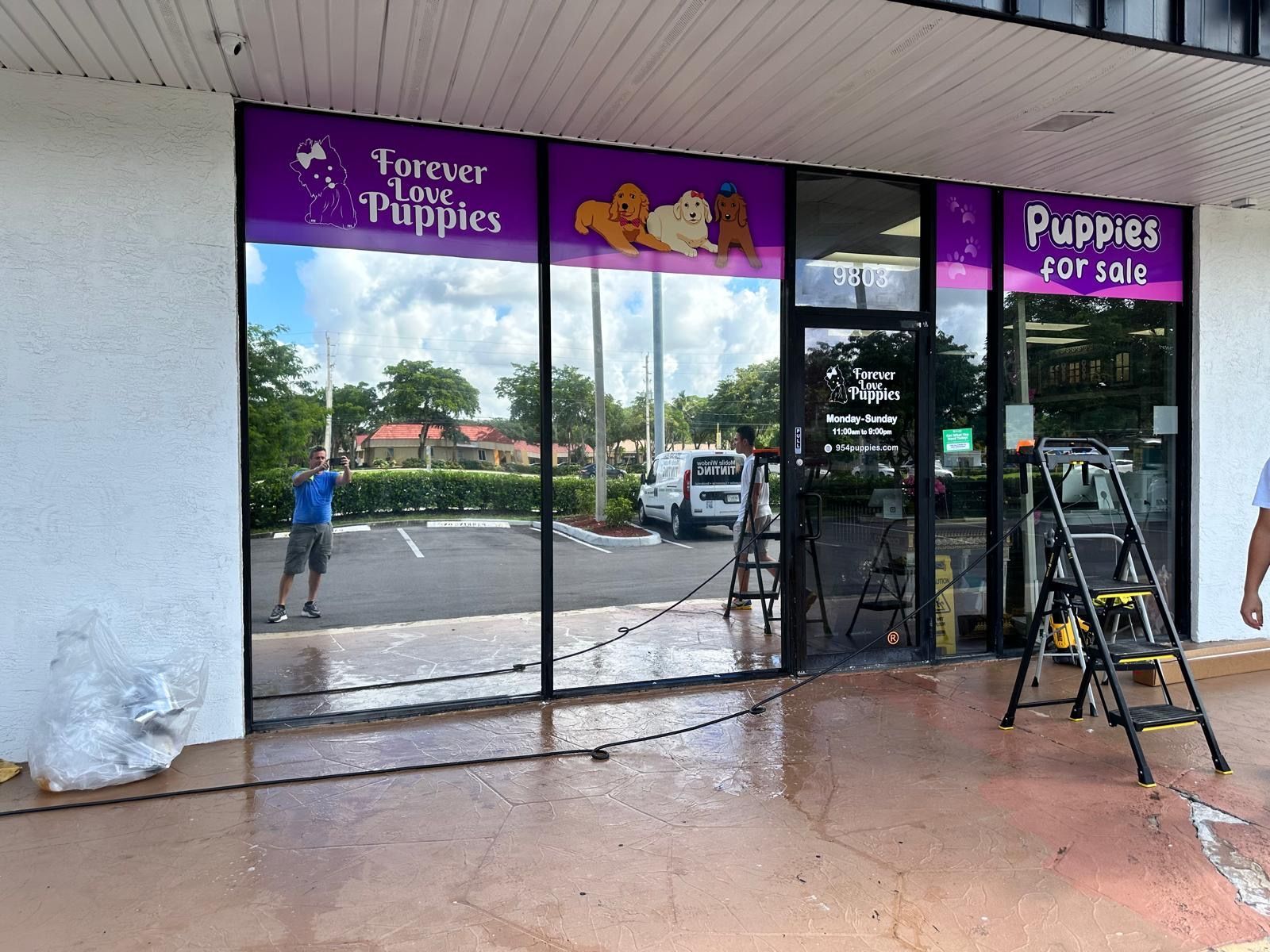 A man is cleaning the windows of a puppy store.