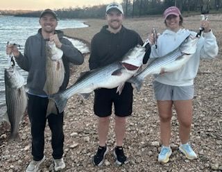 Three people stand on a rocky lakeshore, each holding a large striped bass caught while fishing.
