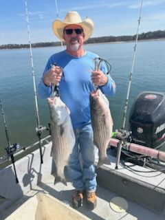A person wearing a cowboy hat and blue shirt stands on a boat holding two large striped bass on a sunny day.