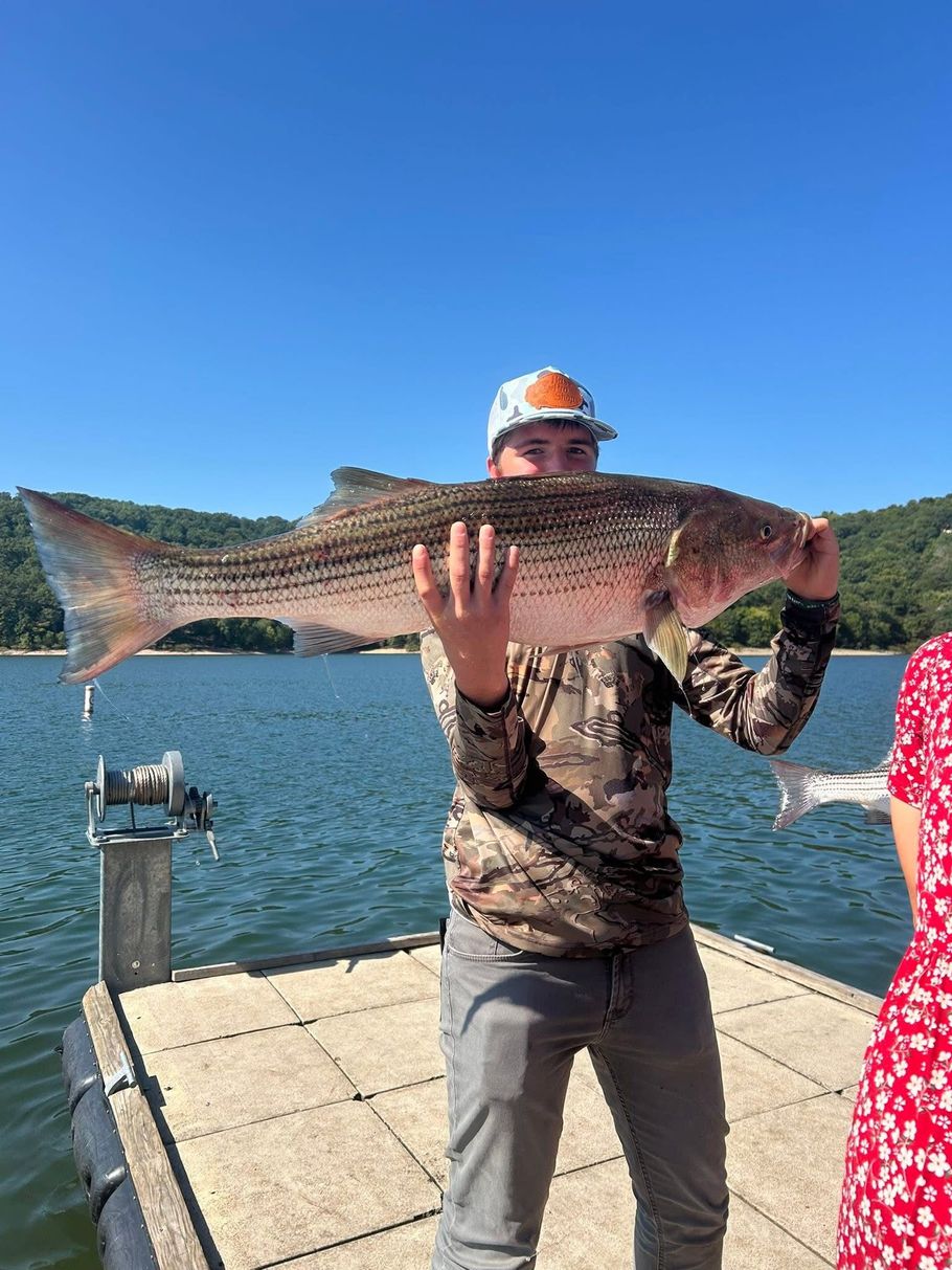 Lakeside view: green lawn, chairs, trees, lake with fog, clear blue sky.