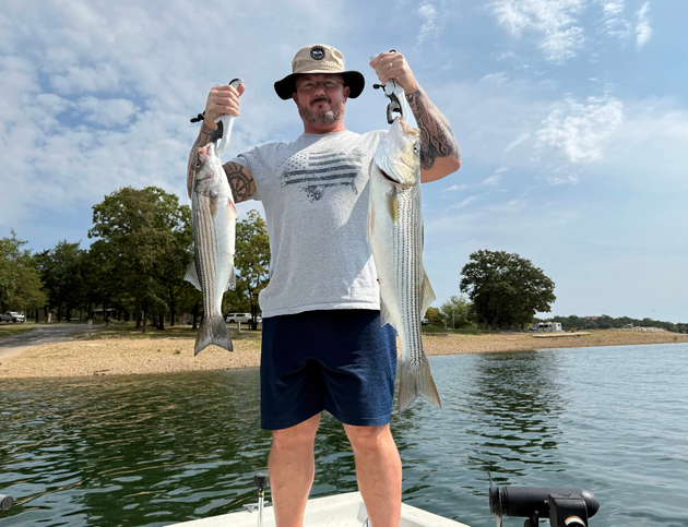 Man on a boat holds up two striped fish he caught. Sunny day, lake background.