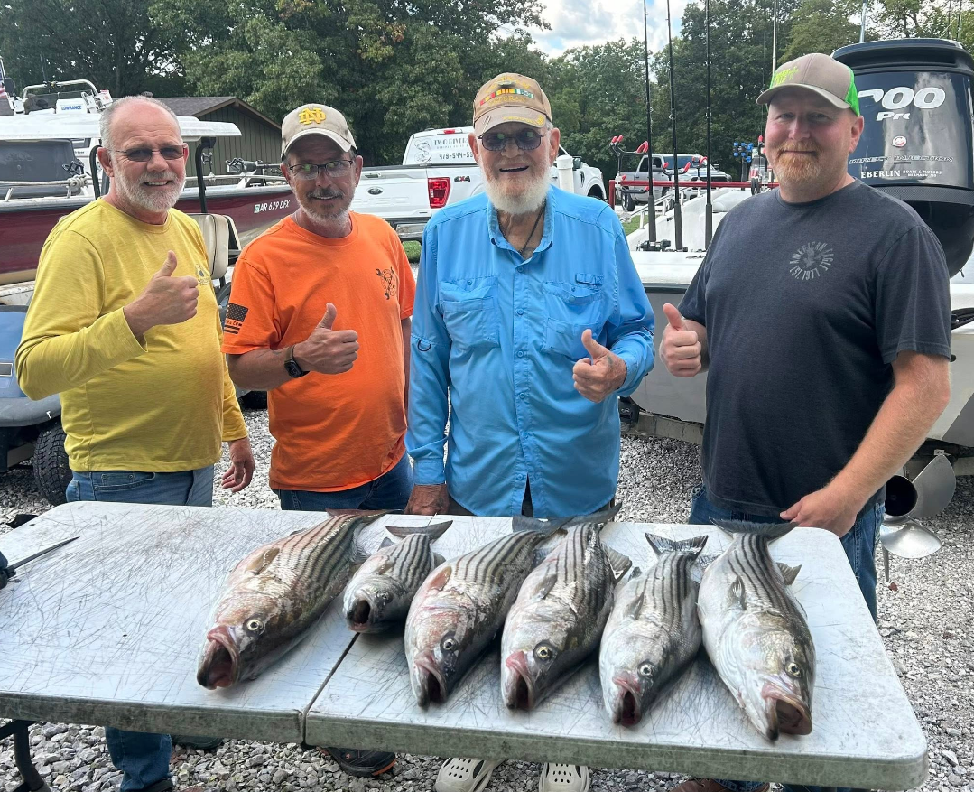 Four men with thumbs up, posing with six striped bass on a table near boats.