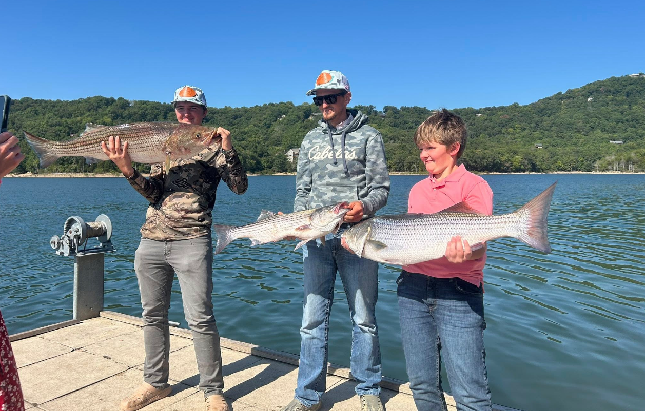 Three people on a dock holding large fish. A clear blue sky is overhead.