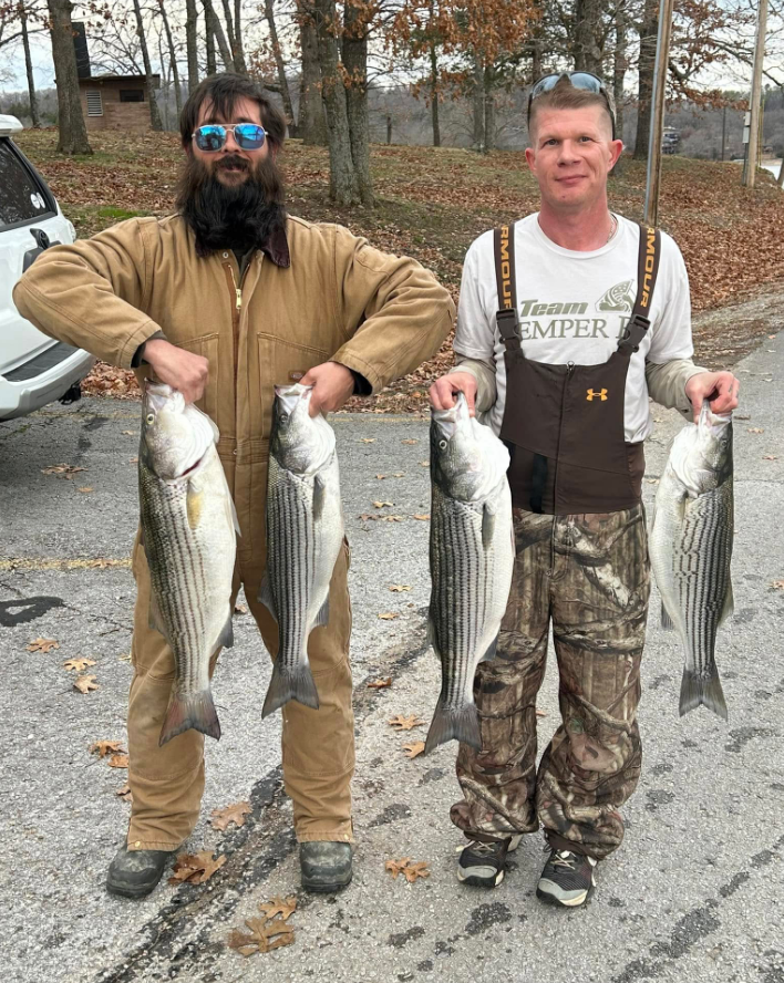 Two men holding up striped bass they caught, standing near a road beside water.