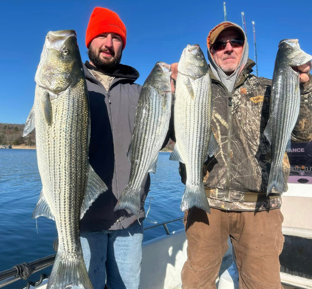 Two men on a boat hold up striped bass they caught, blue sky, water in the background.