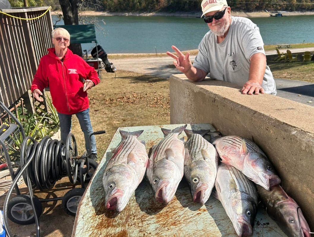 Two men by a river show off their fish catch: striped bass. One man gives a peace sign.