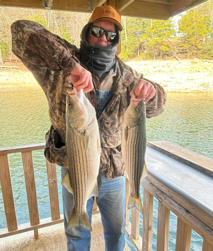 Man in camo holding two striped bass, near water.