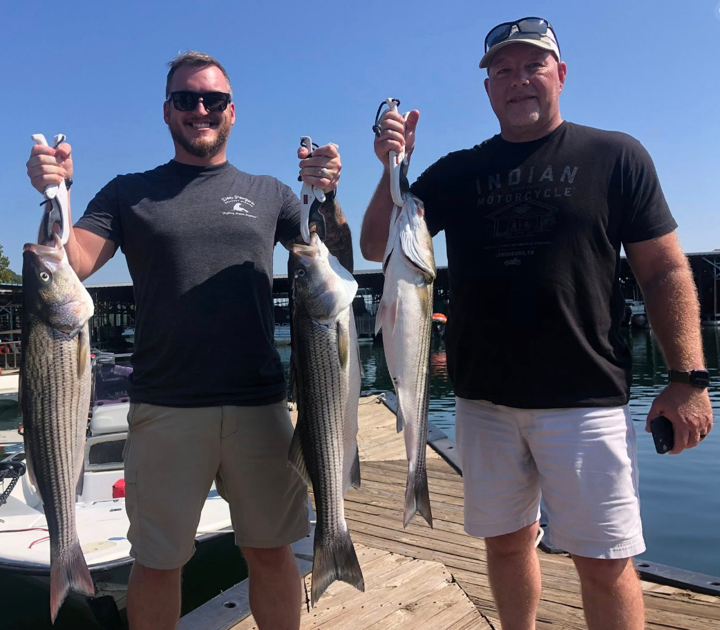 Two men on a dock holding up caught fish; sunny day, blue water background.