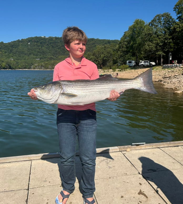 Young boy holding a large striped bass near a lake on a sunny day.
