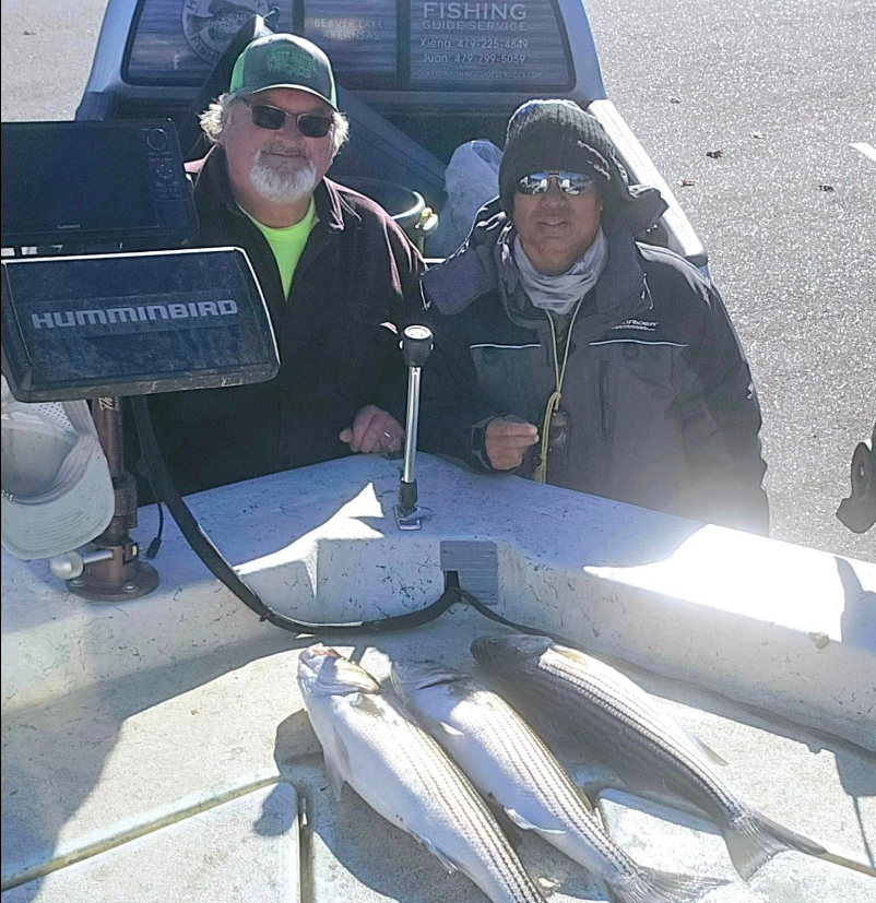 Two men on a boat display striped bass. One wears a green hat, the other a black beanie. Gray boat, sunny day.