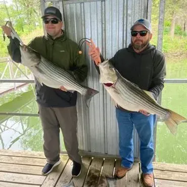 Two men holding large striped bass caught on a dock.