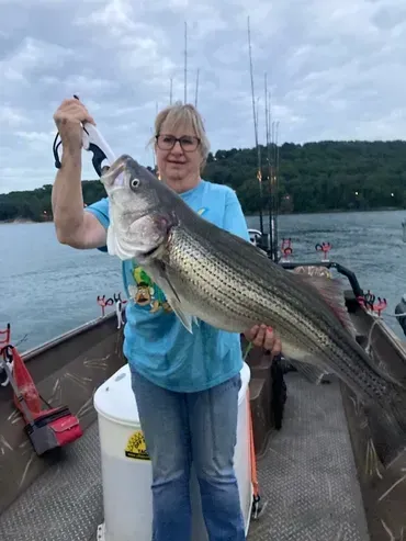 Woman on boat holding large striped bass, posing after fishing.