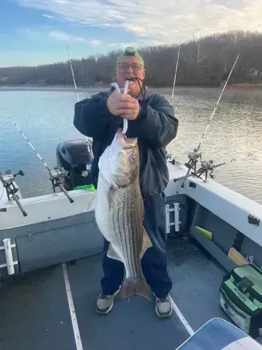 Man on a boat holding a large striped bass. Lake and treeline in the background. Fishing rods visible.
