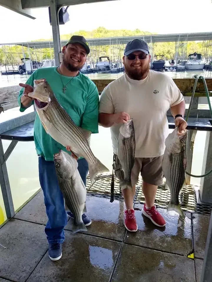 Two men at a dock proudly holding striped bass they caught, smiling, sunny day.