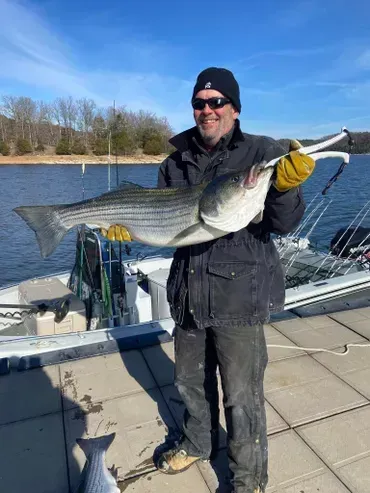 Man holding a large striped fish on a dock, near a boat, sunny day.