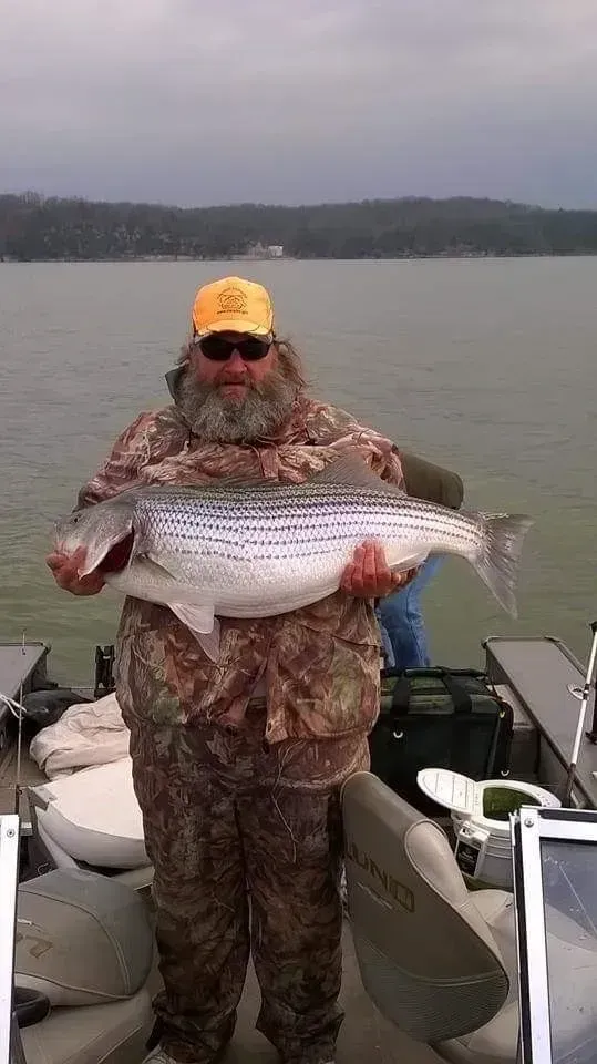 Person in camouflage holding a large striped fish on a boat. Cloudy day, lake background.