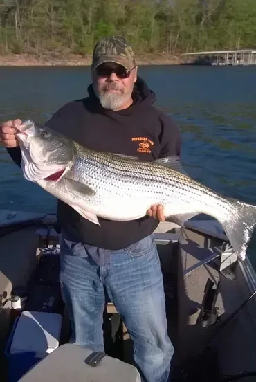 Man on boat holds up large striped bass, lake in background.