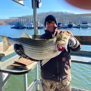 Man holding a large striped bass fish at a dock on a sunny day.