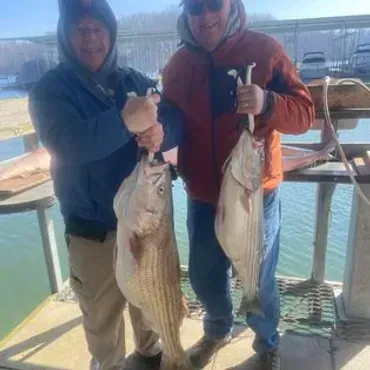 Two men holding large striped bass at a dock near water, cloudy day.
