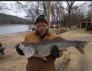 Man holding large striped bass near a lake, wearing work clothes and a hat, smiling.