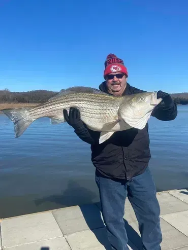 Man in Chiefs hat holding large striped bass by a lake.