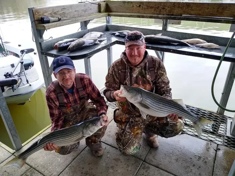 Two men holding large striped bass, posing near a boat at a fish-cleaning station.