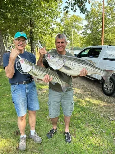 Two men holding large striped bass, posing near a truck on a grassy area.