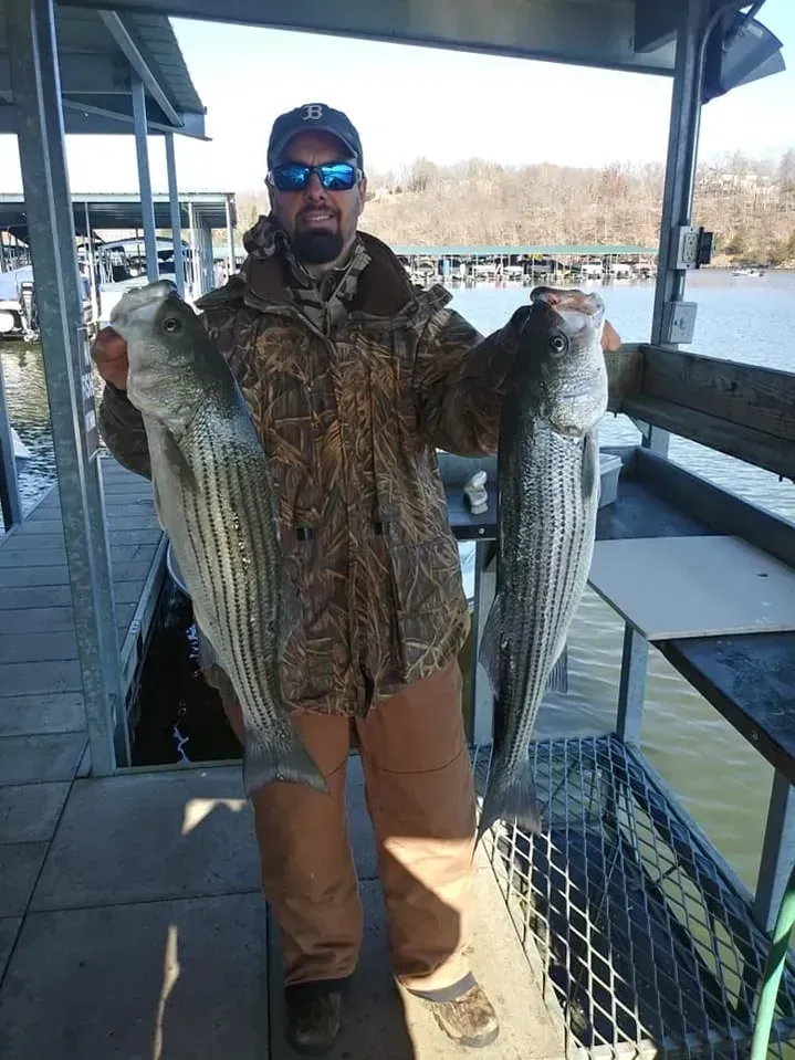 Man holding two striped fish at a dock, wearing camouflage jacket, sunglasses, and a baseball cap.