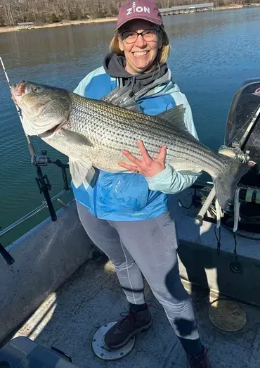 Woman holding a large striped bass on a boat, smiling, wearing hat and blue long-sleeve shirt. Lake background.