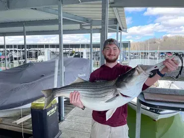 Man holding large striped fish at a boat dock, smiling.