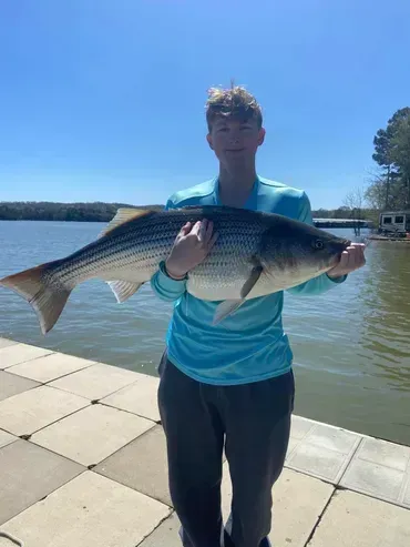 Person holding a large striped bass on a dock by water, sunny day.