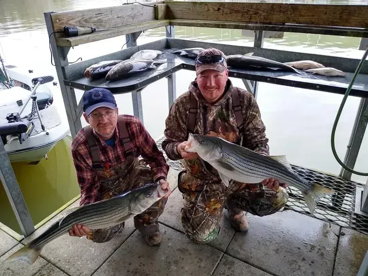 Two men holding striped bass they caught, on a fish cleaning station next to a boat.