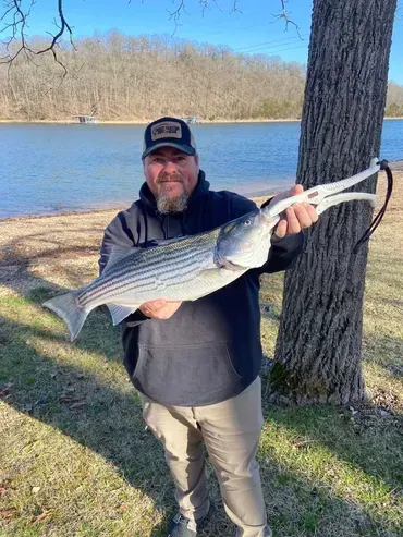 Man holding a large striped fish outdoors near water, sunny day.