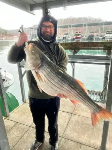 Man holding large striped fish near a dock, overcast day.