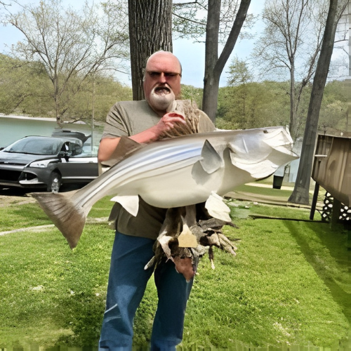 Man in jeans and white shirt holding large fish sculpture indoors.