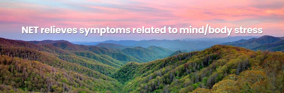 A picture of a mountain range with the words