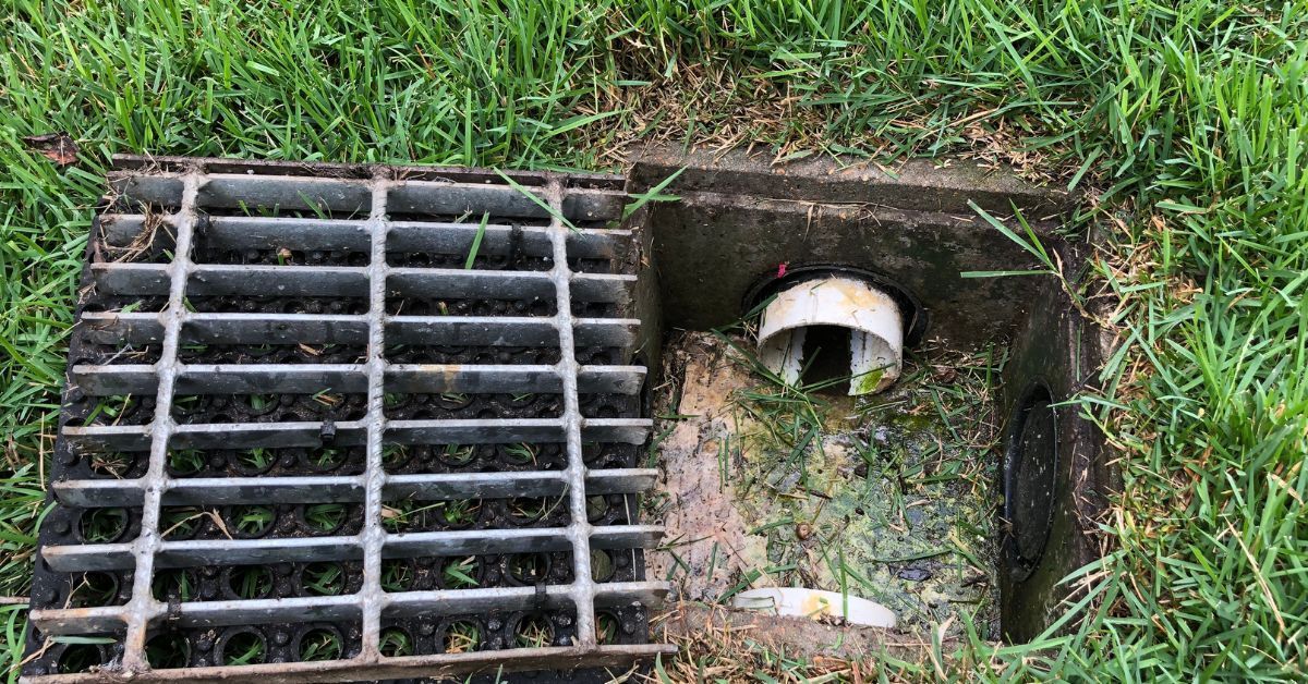Discover the distinctions between French drain and traditional drainage