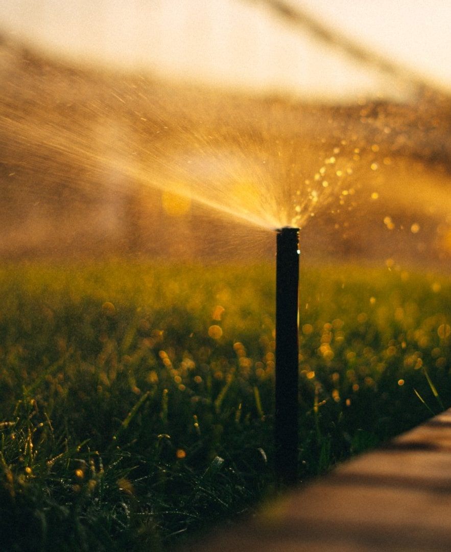 The Benefits of Having an Irrigation System