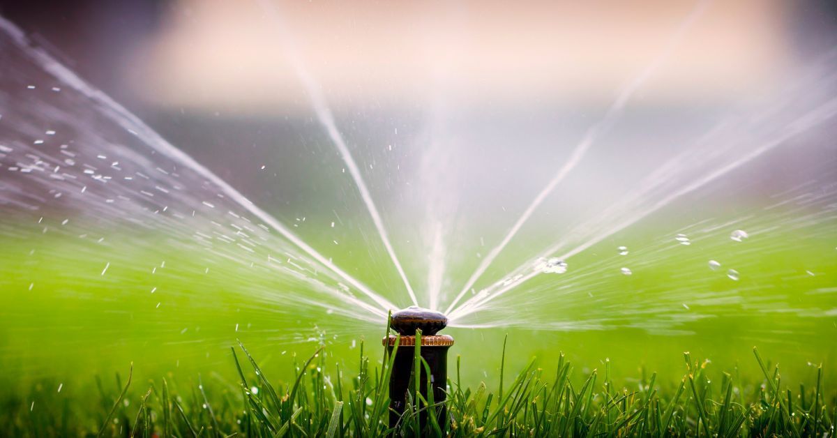 10 Signs Your Sprinkler System Needs Repair