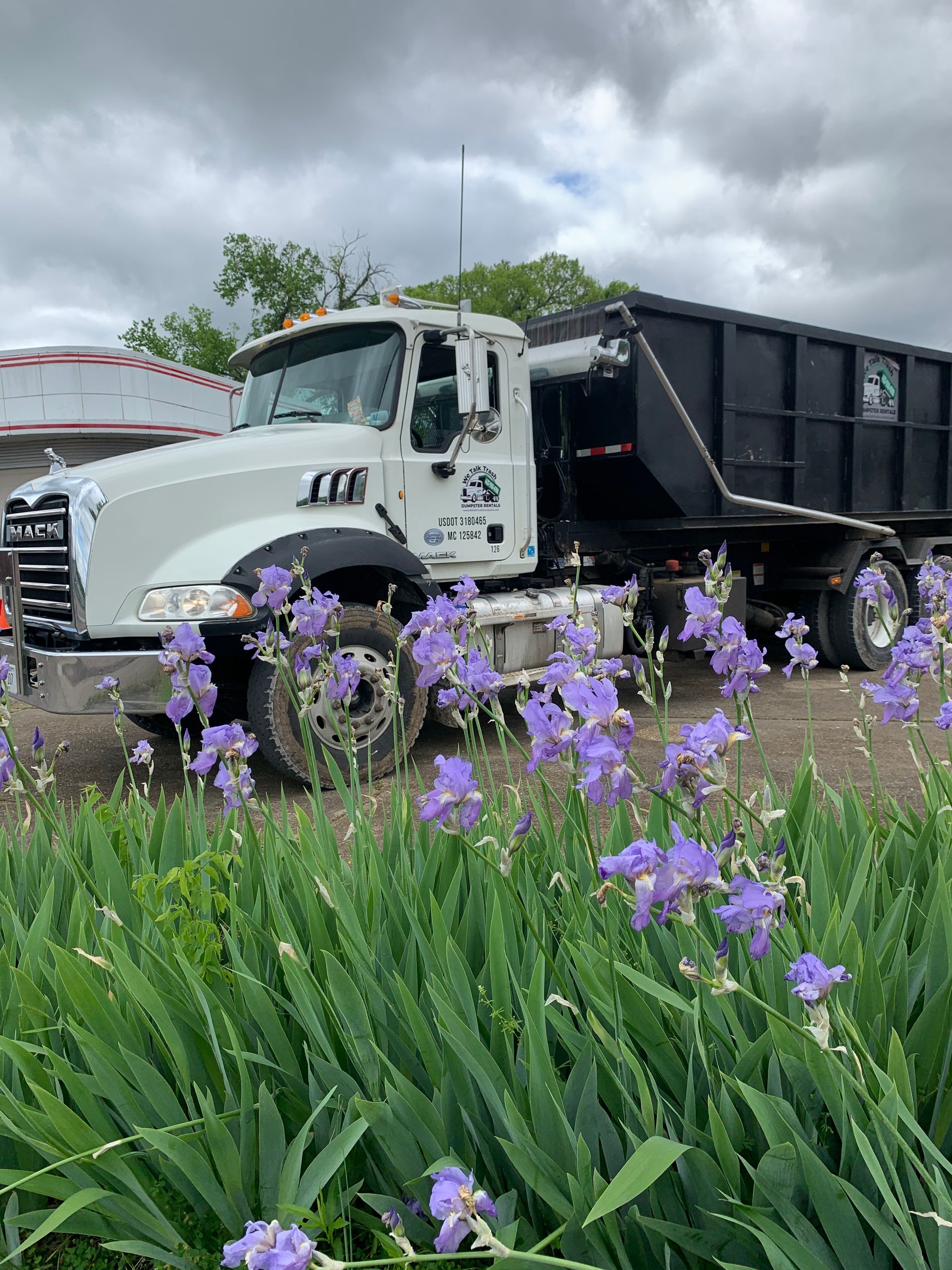 A dump truck is parked in a field of purple flowers.