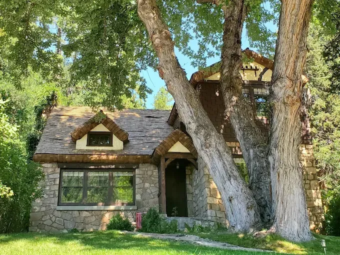 Stone cottage with a brown roof and a large tree trunk growing through its facade.