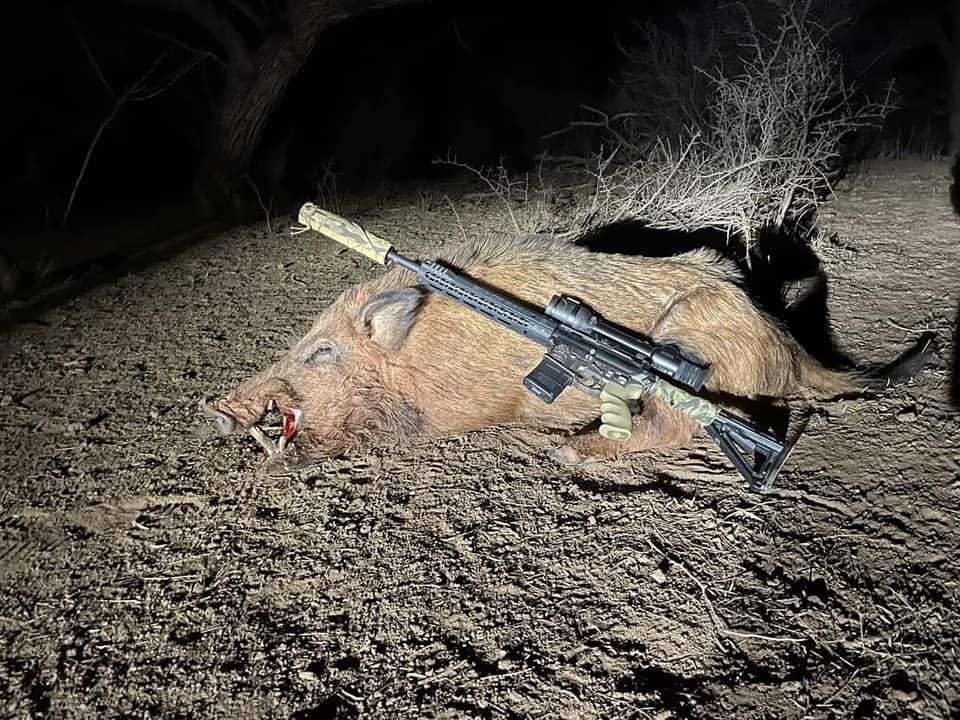 A dead wild boar lies on the ground, with an AR-15 rifle resting on top.