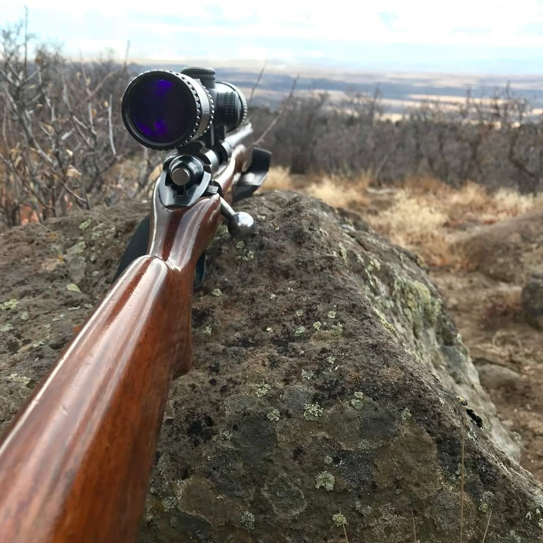 A rifle with a scope is aimed over a rock, with a landscape in the distance.