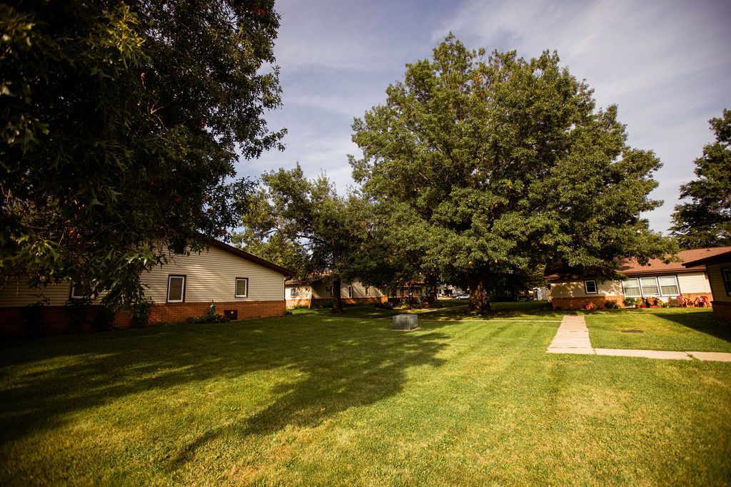 A lush green yard with a house in the background and trees in the foreground.