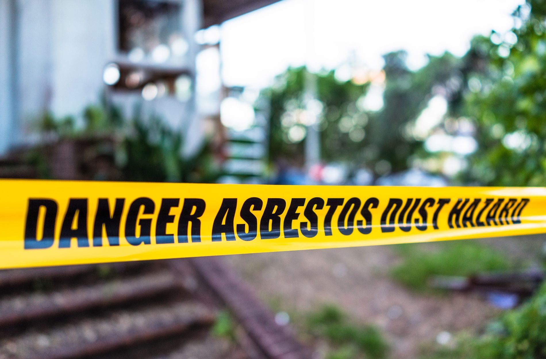 asbestos