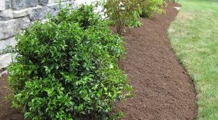 Bush — Quality Landscaping Products in Cessnock, NSW
