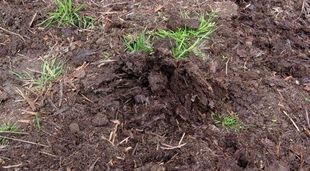 Soils — Quality Landscaping Products in Cessnock, NSW